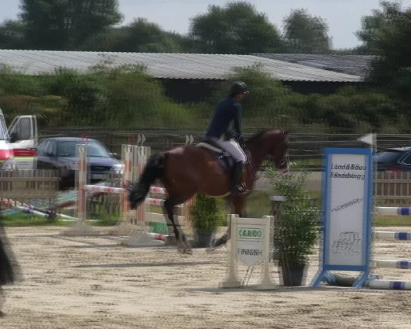 Reitturnier Schülp / Rendsburg 2019