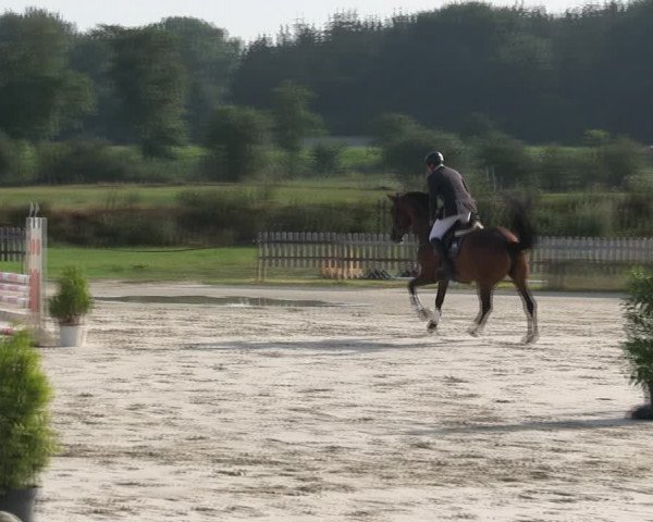 Reitturnier Schülp / Rendsburg 2019