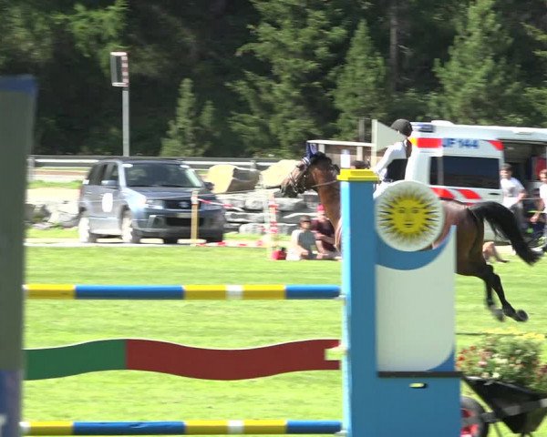 Reitturnier St. Moritz 2019