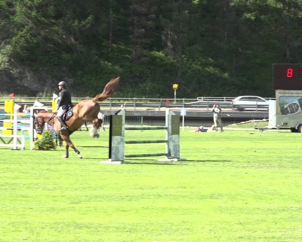 Reitturnier St. Moritz 2019