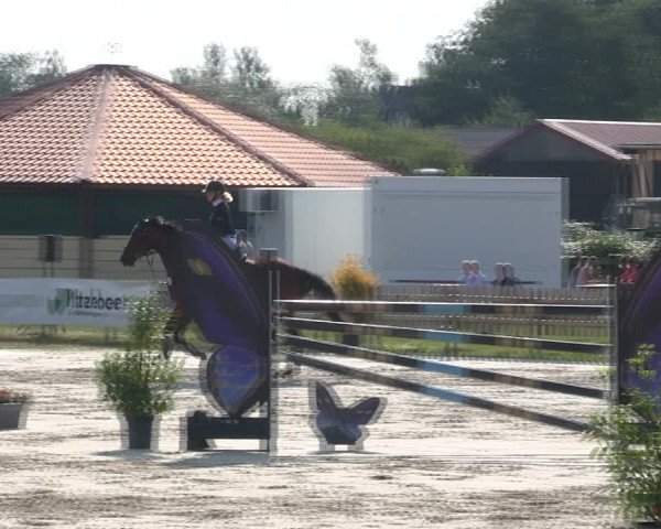 Reitturnier Schülp / Rendsburg 2019