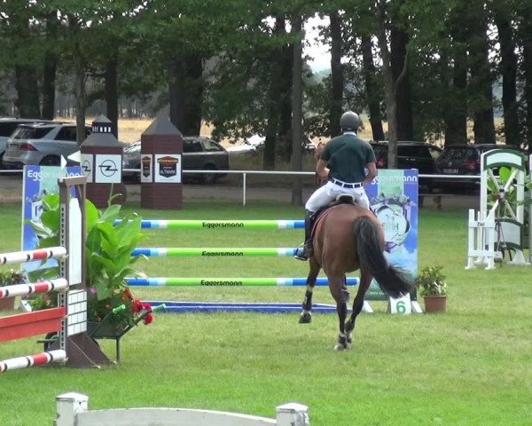 Reitturnier Zobbenitz 2019