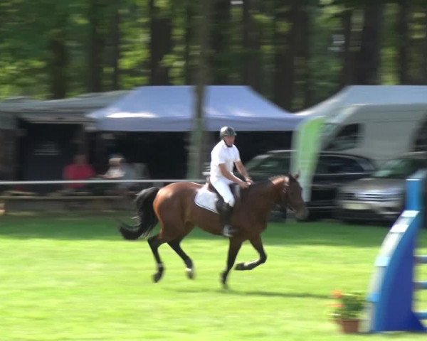 Reitturnier Zobbenitz 2019