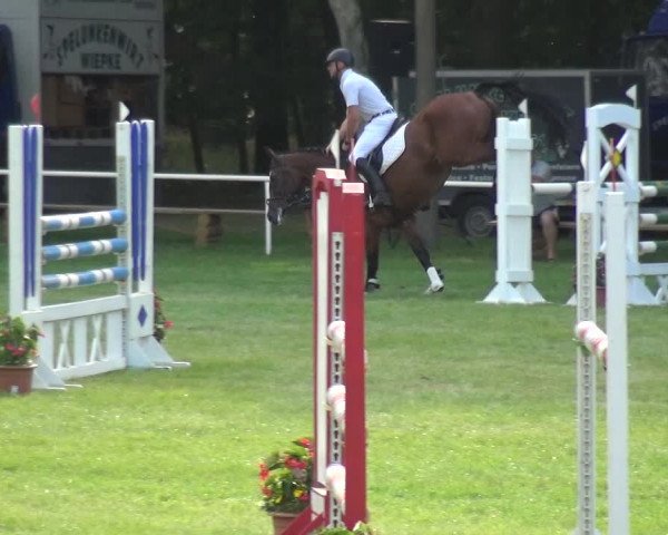 Reitturnier Zobbenitz 2019