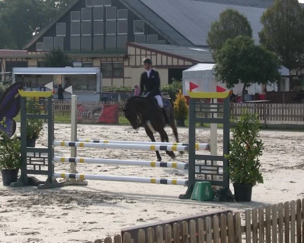 Reitturnier Schülp / Rendsburg 2019