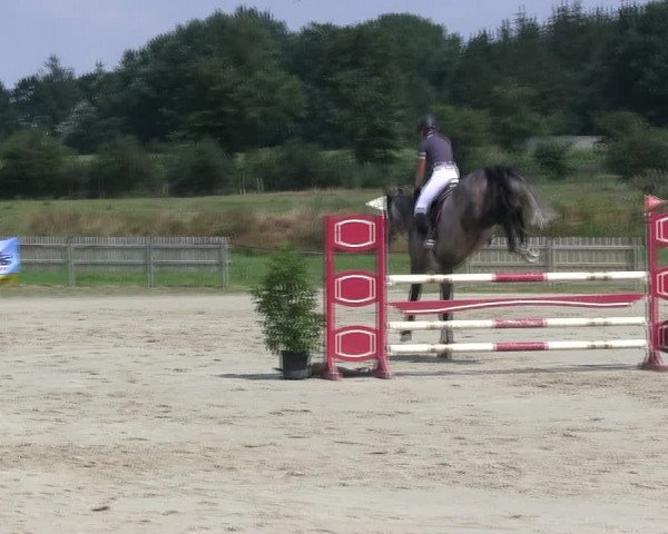 Reitturnier Schülp / Rendsburg 2019