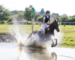 jumper Vlynda VH (German Riding Pony, 2013, from Vivaldi)