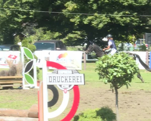 Reitturnier Langenthal 2019