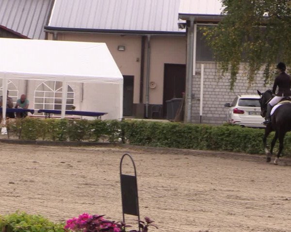 Reitturnier Olfen-Vinnum 2019