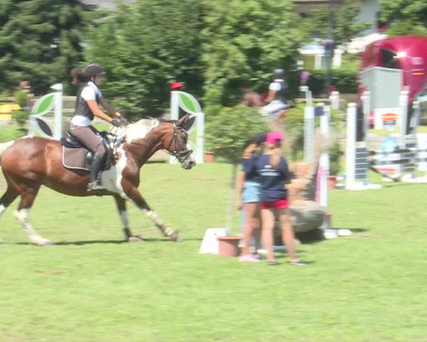 Reitturnier Langenthal 2019