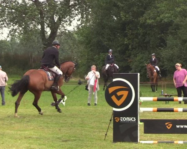 Reitturnier Sollerup 2019