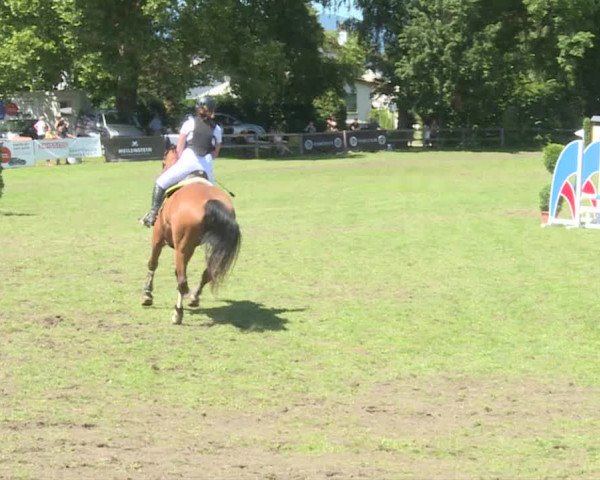 Reitturnier Langenthal 2019