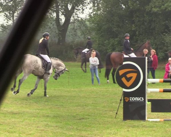 Reitturnier Sollerup 2019