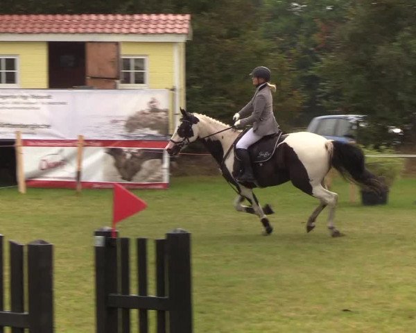 Reitturnier Sollerup 2019