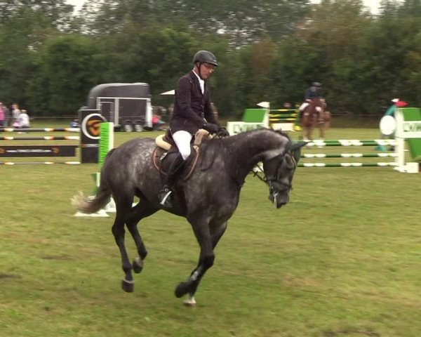 Reitturnier Sollerup 2019