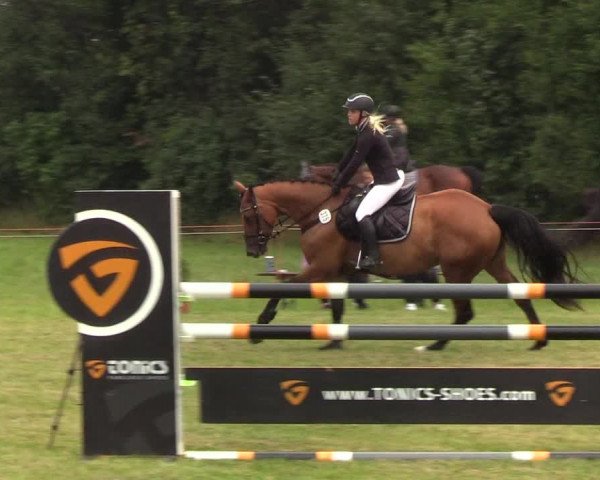 Reitturnier Sollerup 2019