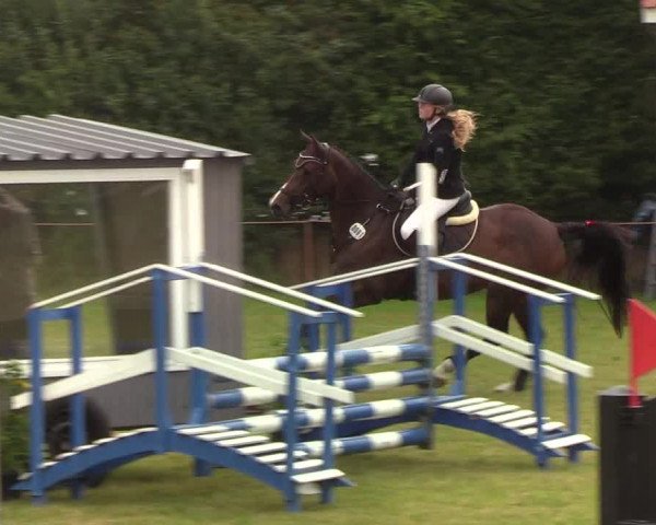 Reitturnier Sollerup 2019