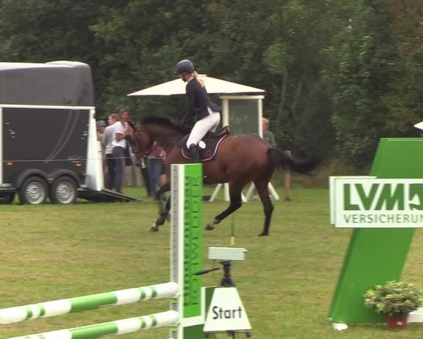 Reitturnier Sollerup 2019