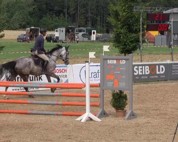 Reitturnier Jagstzell 2019
