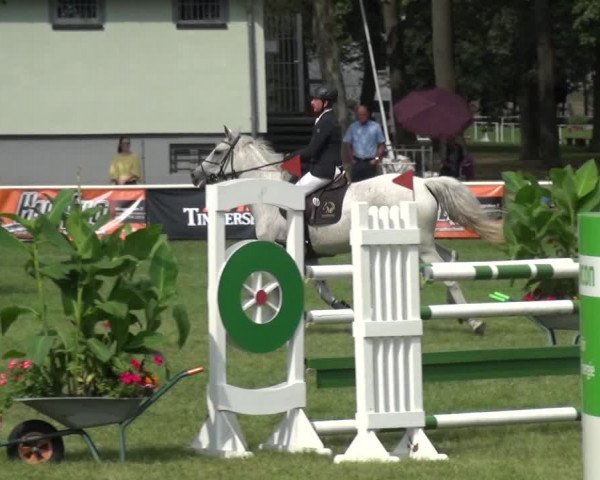 Reitturnier Zobbenitz 2019