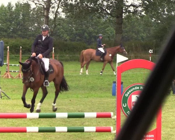 Reitturnier Sollerup 2019