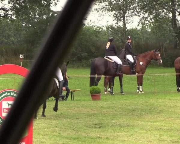 Reitturnier Sollerup 2019