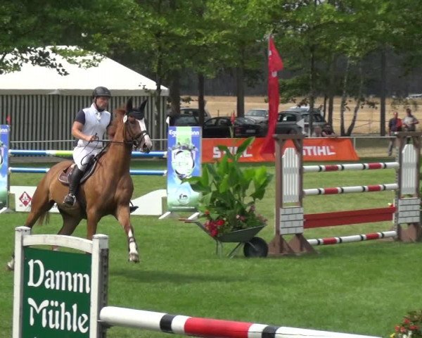 Reitturnier Zobbenitz 2019