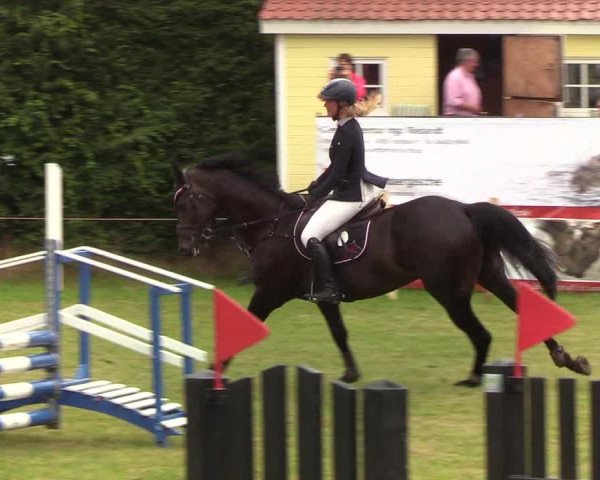 Reitturnier Sollerup 2019