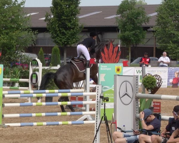 Reitturnier Jagstzell 2019