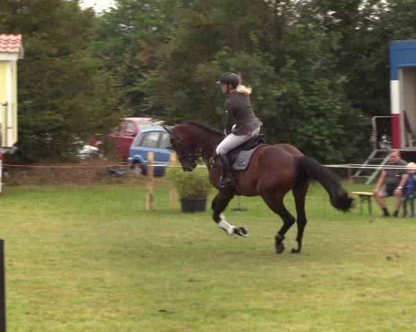Reitturnier Sollerup 2019