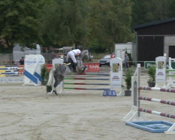 Reitturnier Olfen-Vinnum 2019