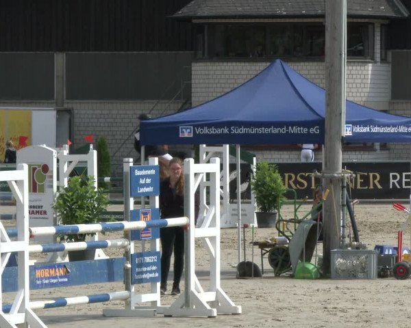 Reitturnier Olfen-Vinnum 2019