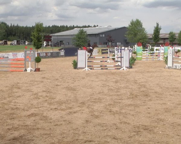 Reitturnier Jagstzell 2019