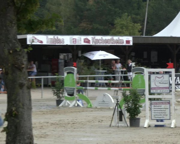 Reitturnier Olfen-Vinnum 2019