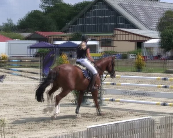 Reitturnier Schülp / Rendsburg 2019