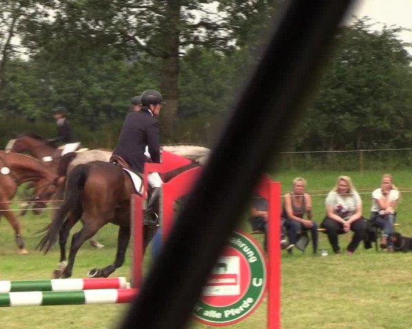 Reitturnier Sollerup 2019