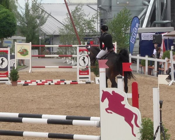 Reitturnier Jagstzell 2019