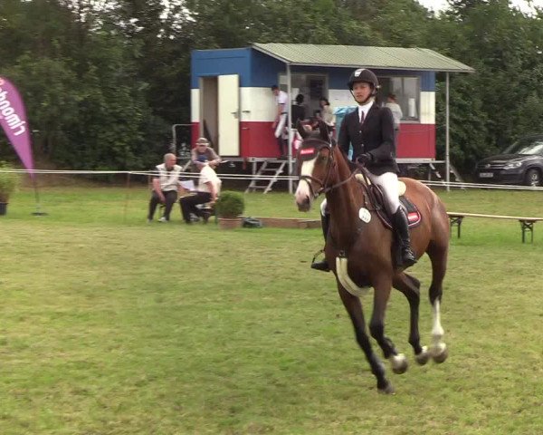 Reitturnier Sollerup 2019