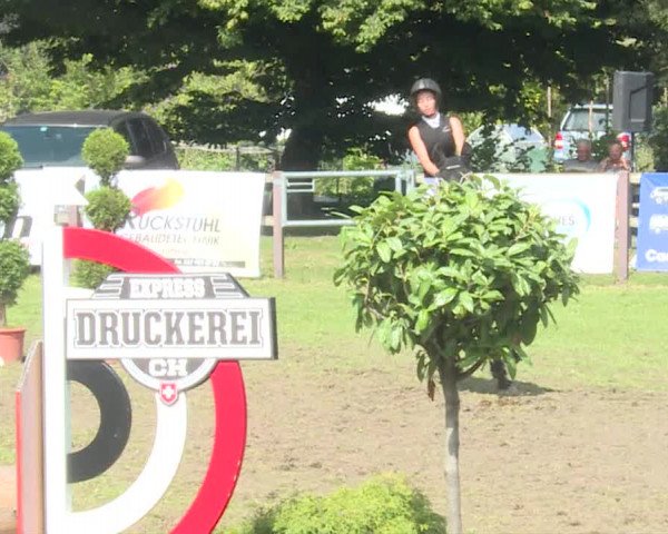 Reitturnier Langenthal 2019