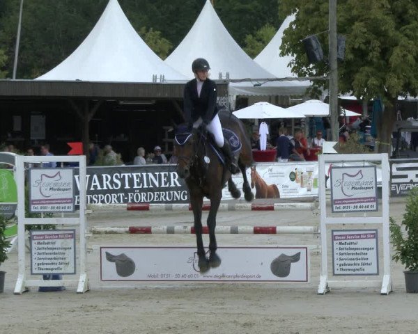 Reitturnier Olfen-Vinnum 2019