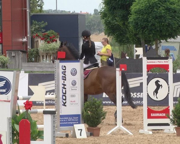 Reitturnier Jagstzell 2019