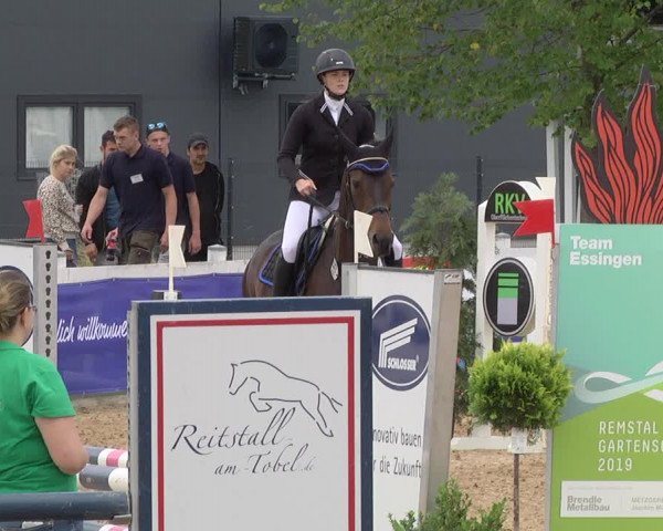 Reitturnier Jagstzell 2019