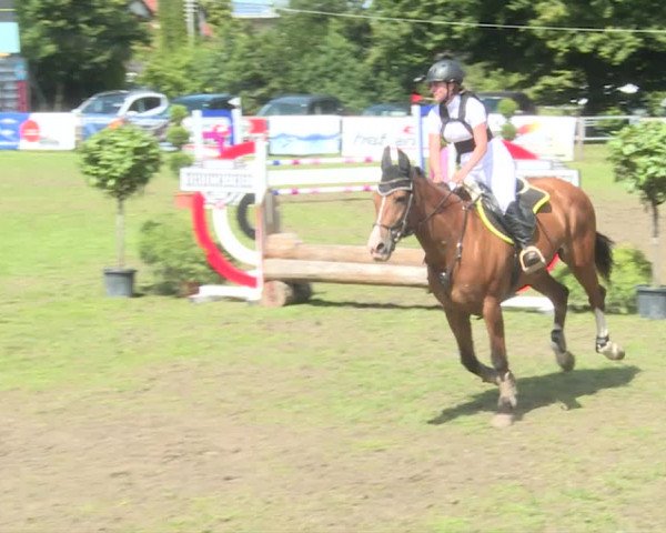Reitturnier Langenthal 2019
