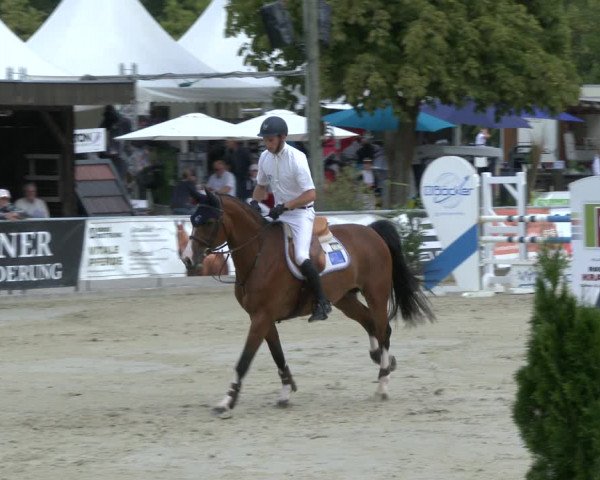 Reitturnier Olfen-Vinnum 2019