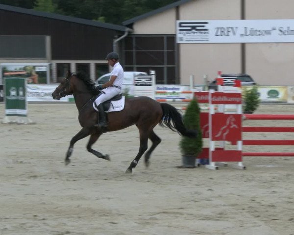 Reitturnier Olfen-Vinnum 2019