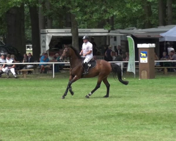 Reitturnier Zobbenitz 2019