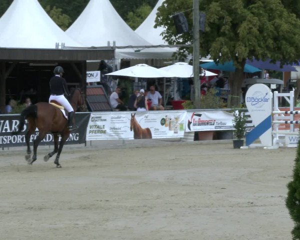 Reitturnier Olfen-Vinnum 2019