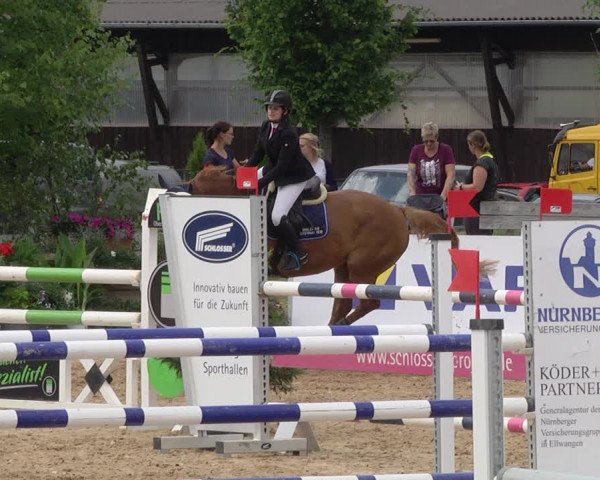 Reitturnier Jagstzell 2019