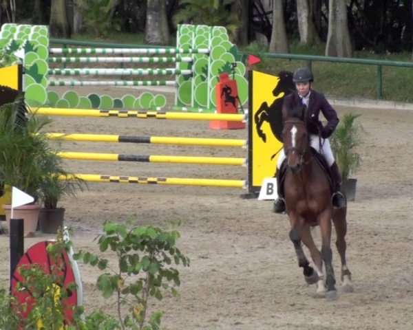 jumper Spidam du Genet (Selle Français, 2006, from Quidam de Revel)