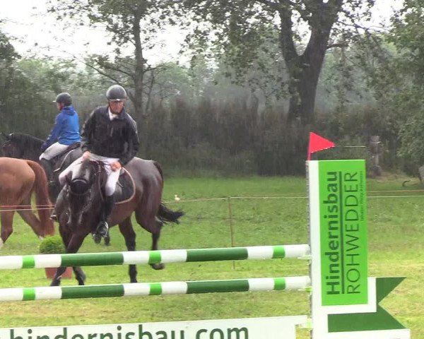 Reitturnier Sollerup 2019
